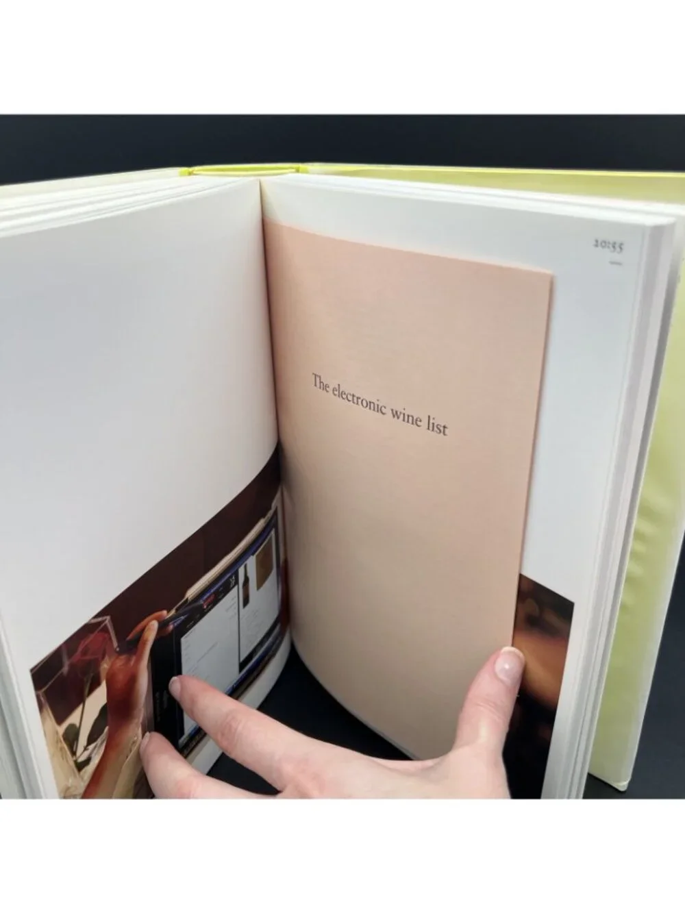 A Day at ElBulli Insight into the Ideas Methods Creativity Ferran Adrià Phaidon